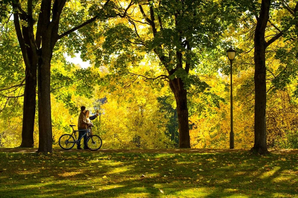 Guided Bike Tour Oslo: Explore Norway's Capital by Bike — photo 2