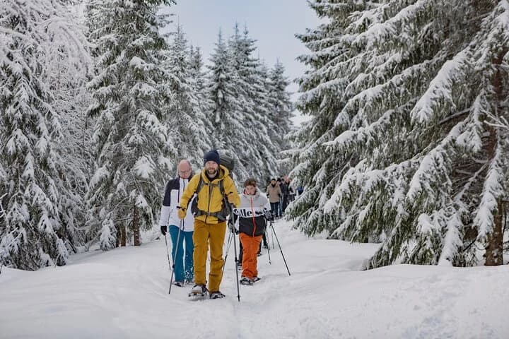 Thrilling Oslo Guided Snowshoe Tour: Scenic Winter Fun — photo 3