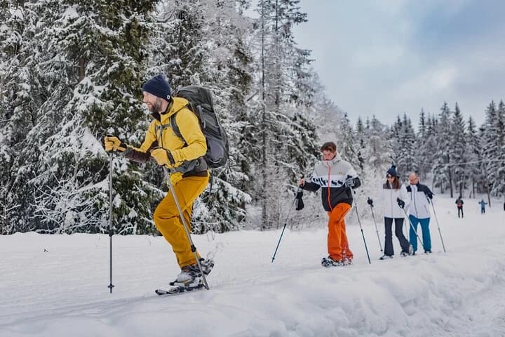 Thrilling Oslo Guided Snowshoe Tour: Scenic Winter Fun