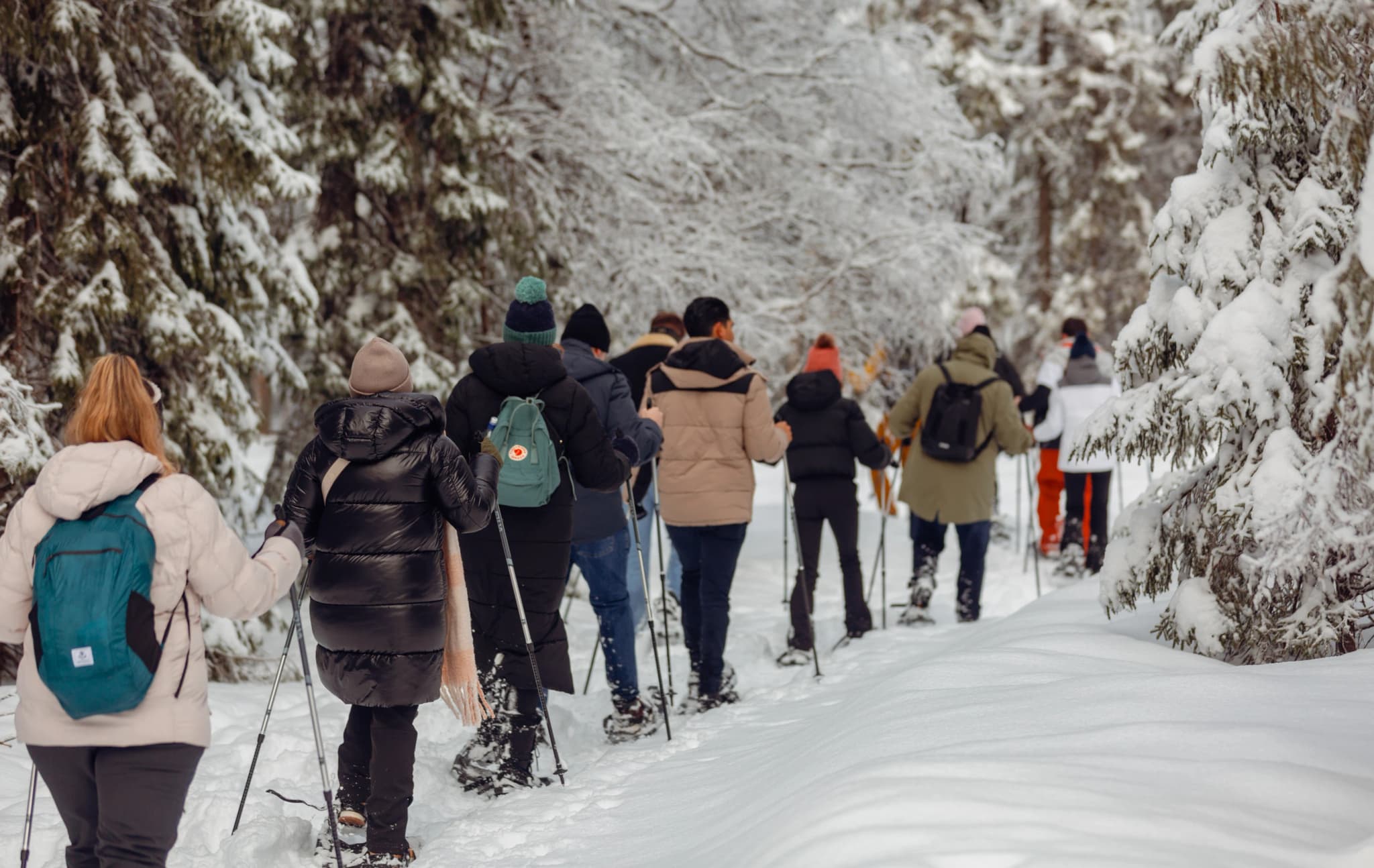 Thrilling Oslo Guided Snowshoe Tour: Scenic Winter Fun — photo 4