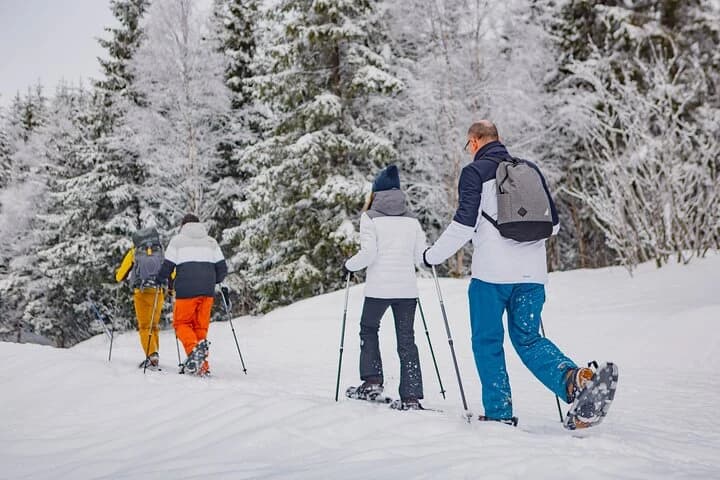 Thrilling Oslo Guided Snowshoe Tour: Scenic Winter Fun — photo 5