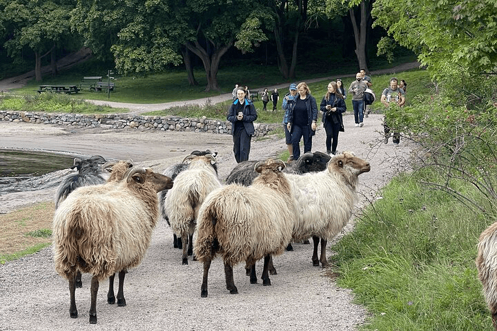 Oslo Island Hopping Tour: Fjord & Nature Escape — photo 2